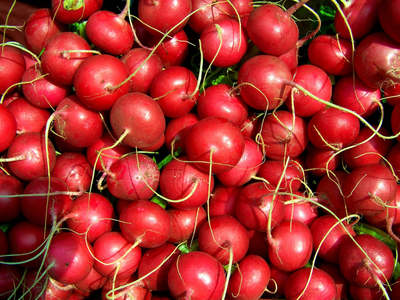 Légumes Côté Paysan Radis rouges lot de 2 - Côté Paysan (68)